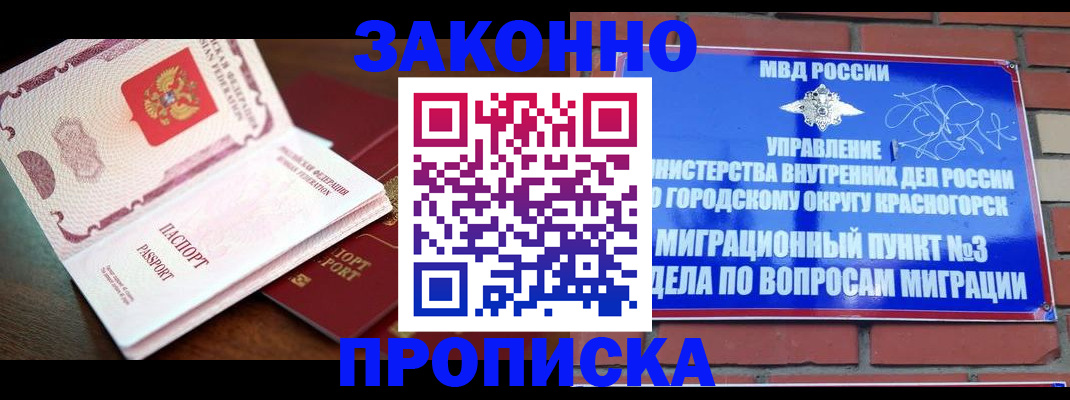 прописка для школы в Мурино